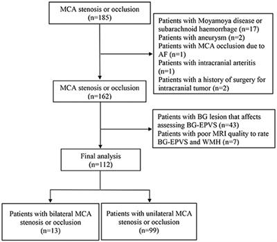 Association Between Steno-Occlusive Middle Cerebral Artery and Basal Ganglia Perivascular Spaces